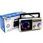 اسپیکر رادیویی گولون مدل RX-M55D