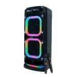 بلندگوی کارائوکه بلوتوث برودو BTS-2121